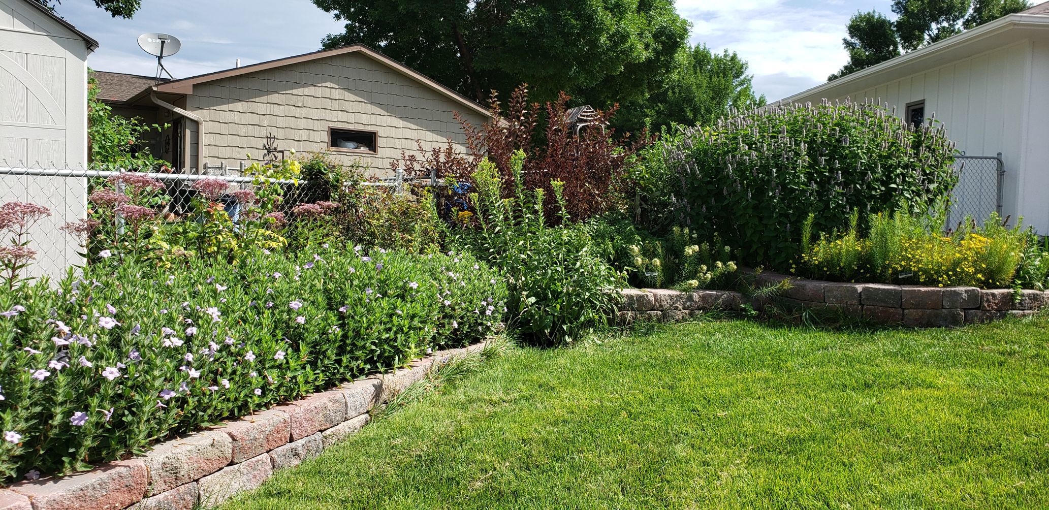 Pollinator plants